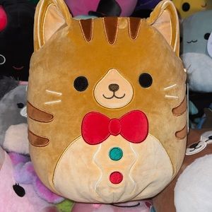 Jones the Gingerbread Cat